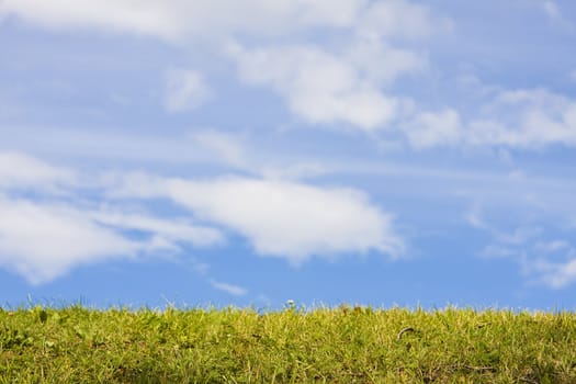 Green grass, the blue sky and white clouds