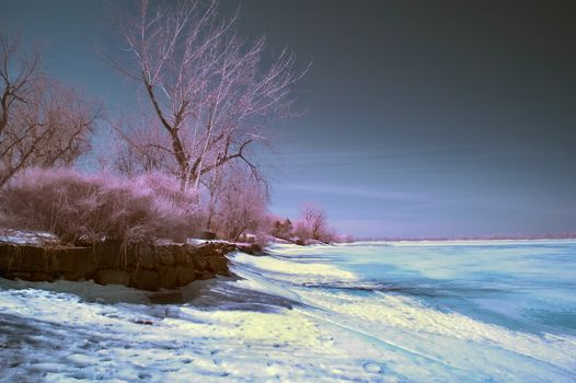 Winter scene shot with an infrared filter