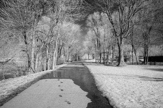 Winter scene shot with an infrared filter