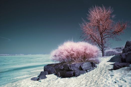 Winter scene shot with an infrared filter