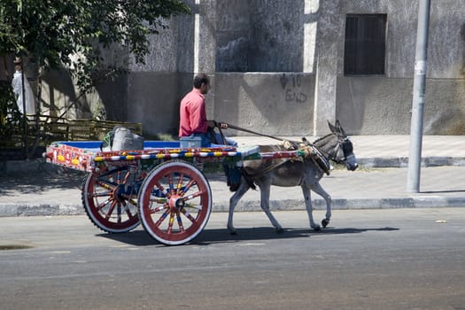 We take a closer look at Alexandria's city life on May 30, 2008, as it's the second-largest city in Egypt, the country's largest seaport and an important tourist resort.