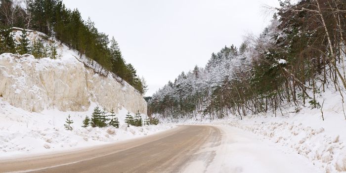 Winter road through the high pine forest