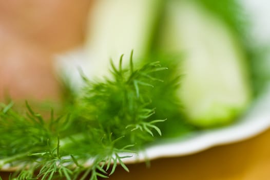 Provincial still-life with boiled potatoes, sliced salt cucumber and some dill on white porcelain  plate.  Wide open aperture, short hyperfocal distance. Focus on first plane at dill branch.
