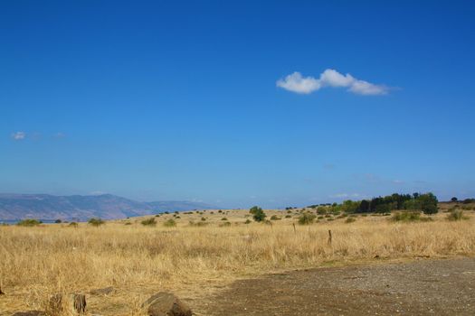 blue sky field at mountains