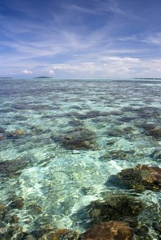 Image of a shallow open sea full of corals in Malaysian waters.