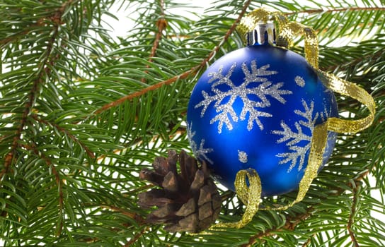 close-up blue ball and cone on fir tree branches