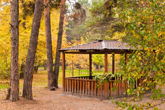 Wooden pavilion and various trees in the park at autumn horizontal