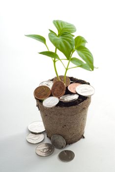 Concept image of a money tree with loose change laying around it