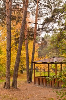 Wooden pavilion and various trees in the park at autumn vertical