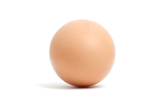 Egg