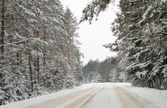 country road in snow