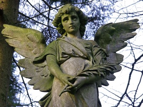 Stone angel statue in the cemetery