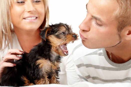 Happy couple with a funny puppy of Yorkshire Terrier