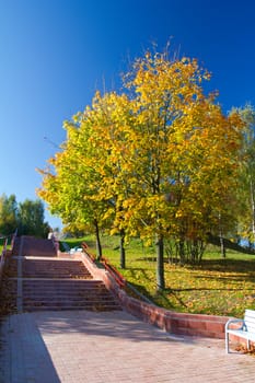 stairs in autumn park