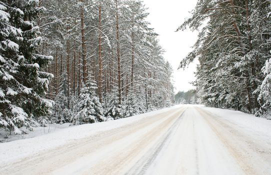 country road in snow