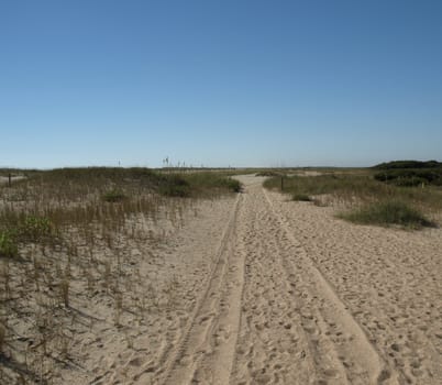 A lonely sandy road along the shore