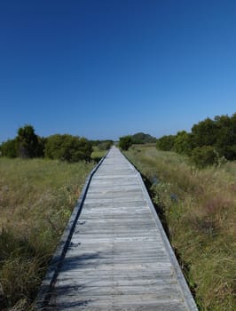 A footbridge across the marsh along the shore in North Carolina