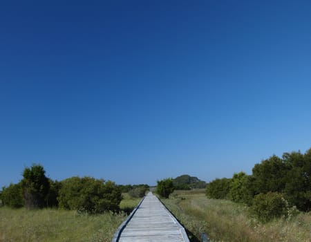 A footbridge across the marsh along the shore in North Carolina