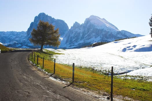 Road through snowy Alp region in Italy