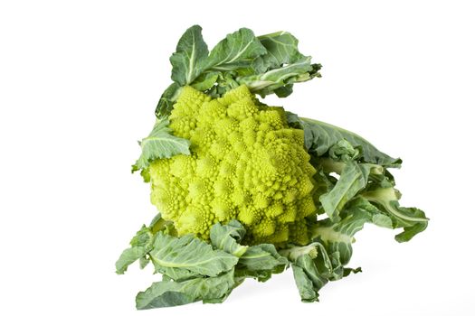 single romanesco vegetable isolated on white