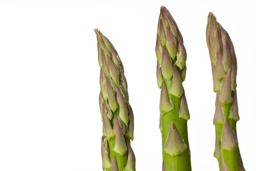 detail of fresh green asparagus isolated on white background