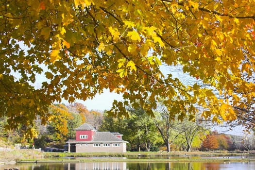 Fall colors, fragments and scenes for backgrounds