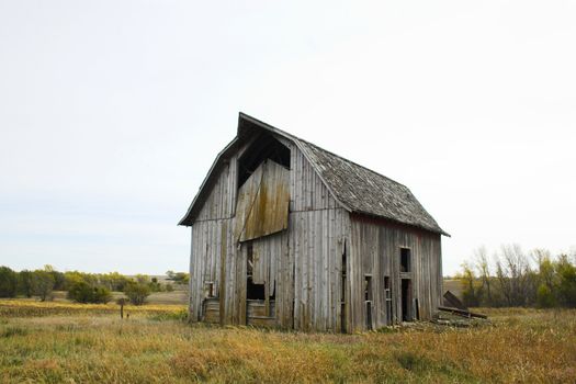 Fragment of farm barn with maize soy and wheat fields  