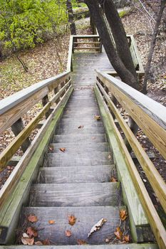 View of the trail with wooden walkways 