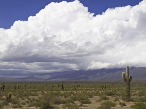 An arid landscape waits for the storm to come.