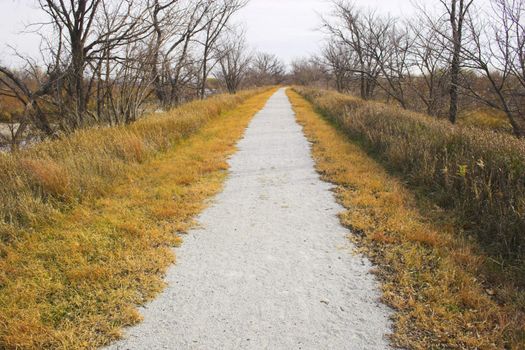 Roads in countryside surrounded by colorful fields and meadows