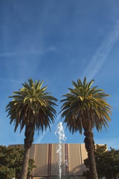 Water fountain in between two palm trees wita background of a building and blue sky
