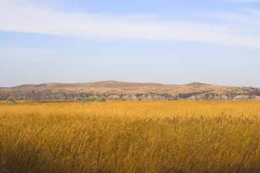 Countryside surrounded by colorful fields and meadows