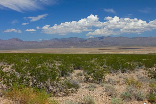 The dry landscape of the Mojave National Preserve in California.