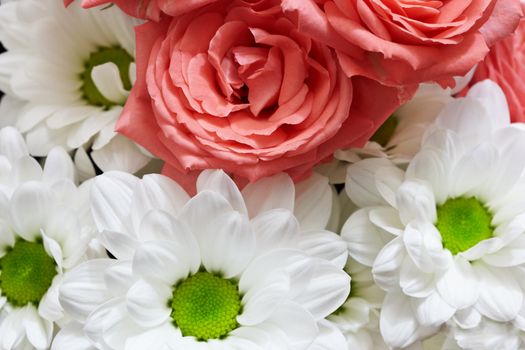 Background of red and white flowers - roses and chrysanthemums