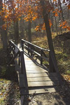 Wooded bridge in the fall red leaved forest 