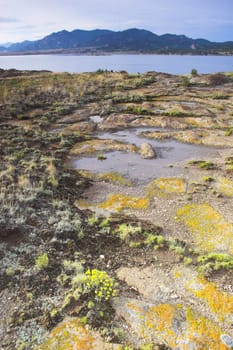 Stony lakeshore of the big lake in Wyoming