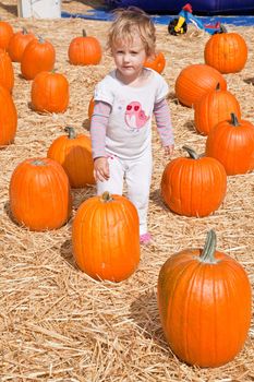 Cute little European toddler girl having fun on pumpkin patch.