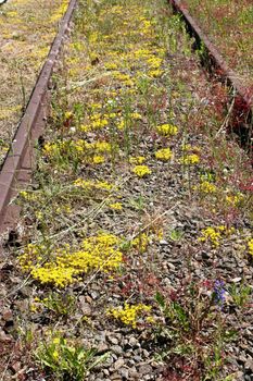 Rail tracks are the surface structures that support and guide trains or other rail-guided transportation vehicles.