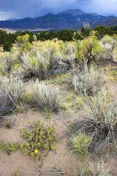 Thunder clouds, rain and sand are being blown over great sanddunes