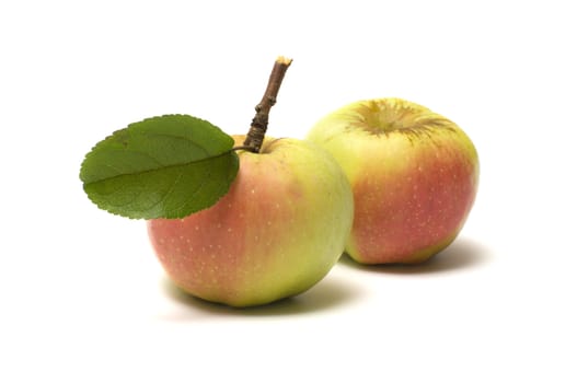 Two ripe apples isolated on a white background.