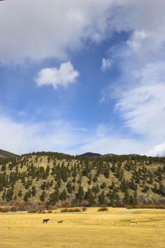 Mountain landscapes of American Cordeliers in the southwest