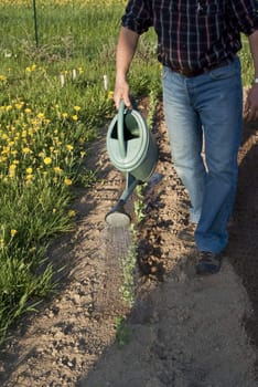 Gardener who watering his garden at the end of evening