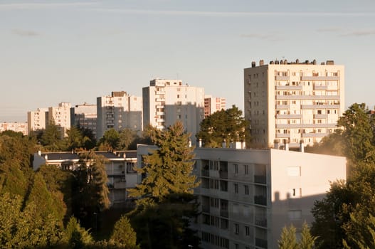 Sunrise light on buildings with trees