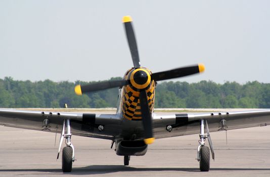 A Mustang just after landing on the runway.