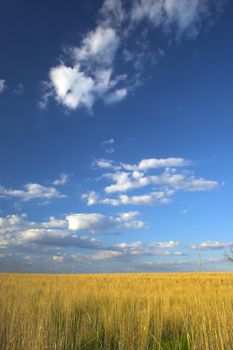 Farm lands of Lancaster county