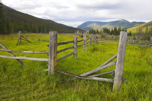 Yellow and sunny green colors of the mountains prairies forests in Cordeliers during late summer early fall