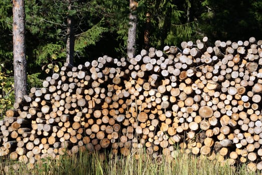 A stack of dry firewood in forest. Photographed in Marttila, Finland in September 2010.