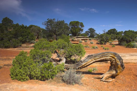 Landscapes of Colorado National Monument and surroundings