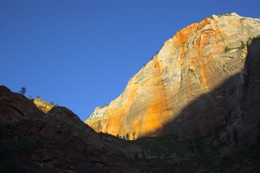Landscapes of Zion National Park in Utah, USA
