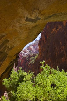 Inside the canyons of Zion National Park in Utah, USA
